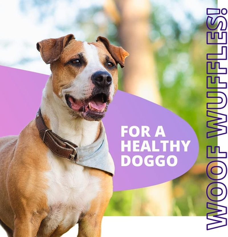 Wuffes 17-in-1 Chewable Dog Vitamins & Supplements - Dog Multivitamin for Small & Large Breed - Whole Food Sources Pet Vitamins - Image 4