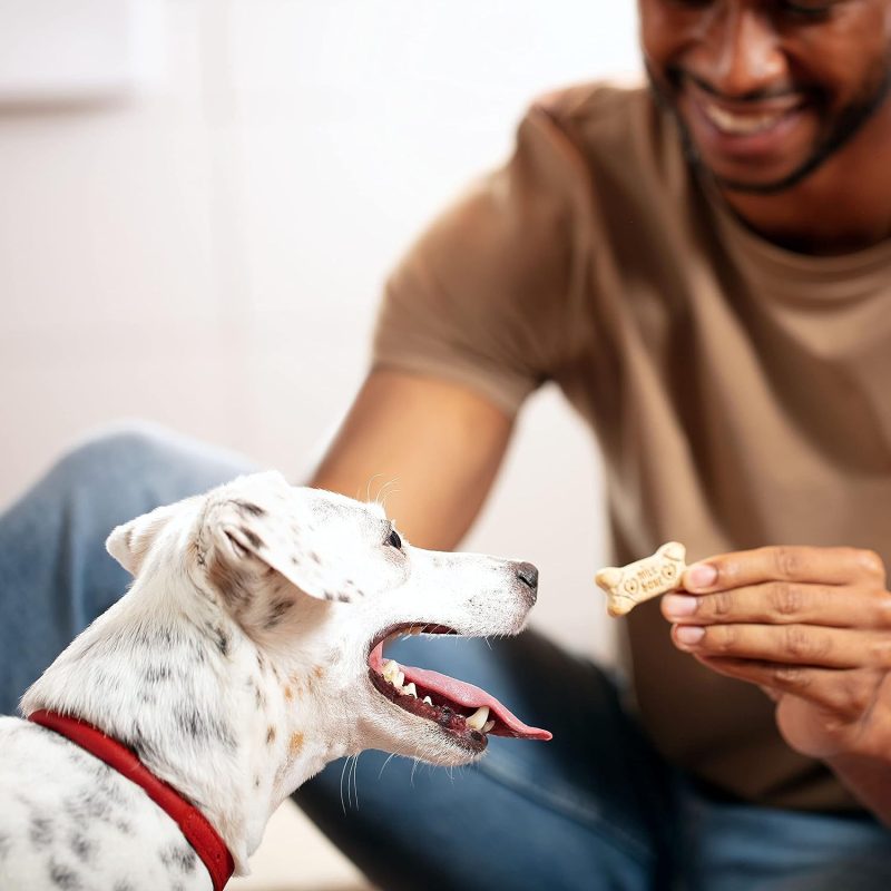 Milk-Bone Original Dog Biscuits, Medium Crunchy Dog Treats, 10 Pound - Image 21