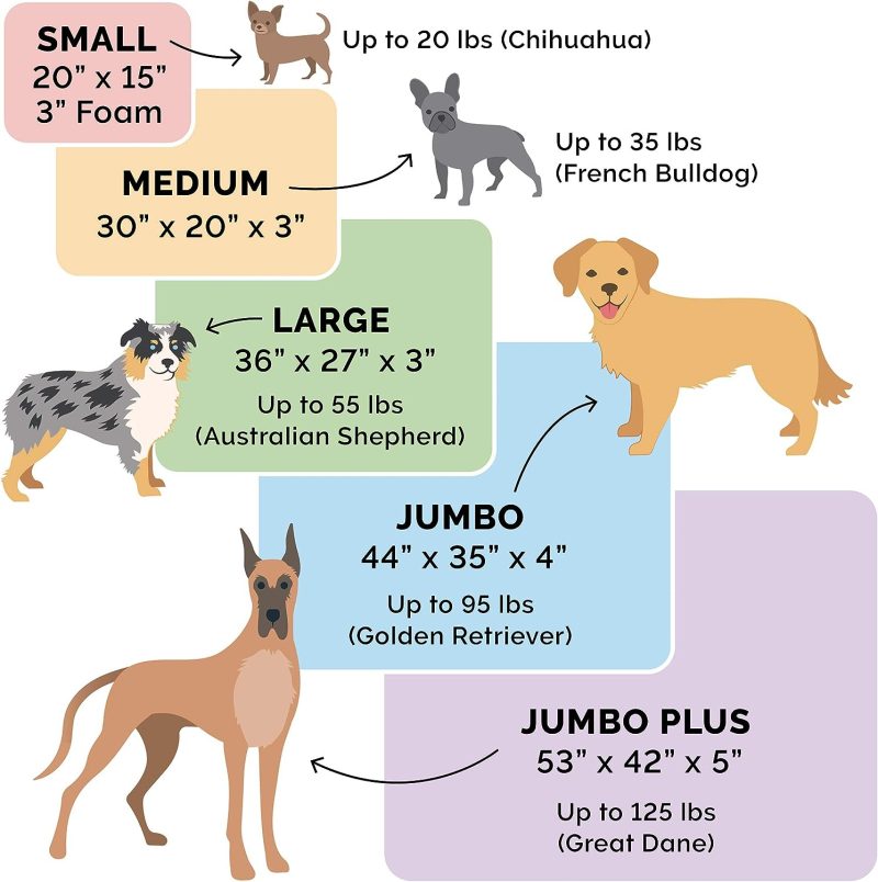 Furhaven Orthopedic Dog Bed for Medium/Small Dogs w/ Removable Bolsters & Washable Cover, For Dogs Up to 35 lbs - Plush & Almond - Image 160