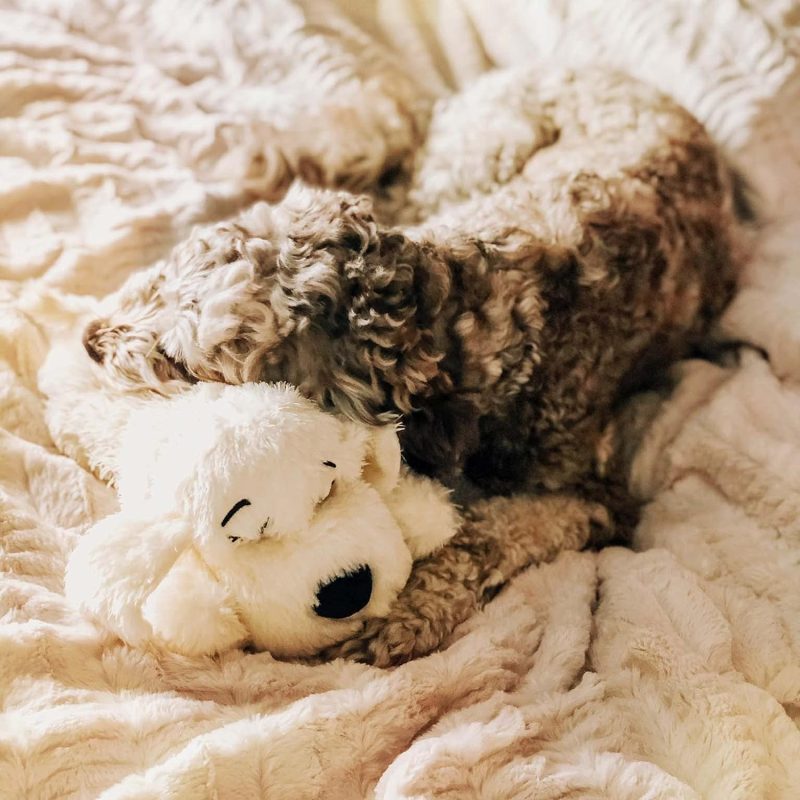 Original Snuggle Puppy Heartbeat Stuffed Toy for Dogs. Pet Anxiety Relief and Calming Aid, Comfort Toy for Behavioral Training - Image 2
