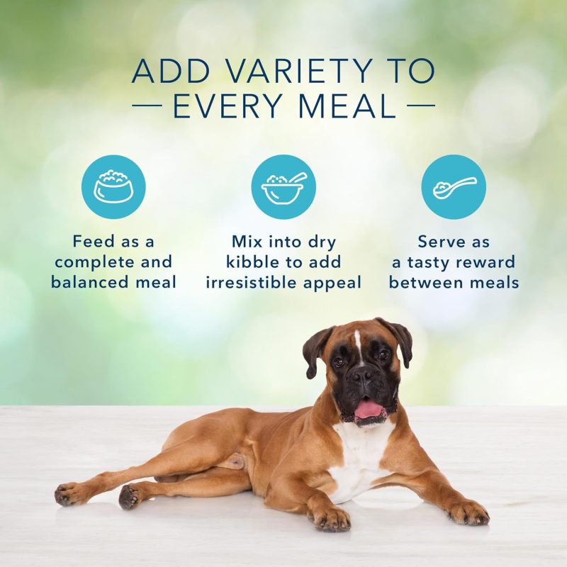 Blue Buffalo Freedom Grain Free Natural Adult Wet Dog Food, Chicken 12.5oz cans (Pack of 12) - Image 26