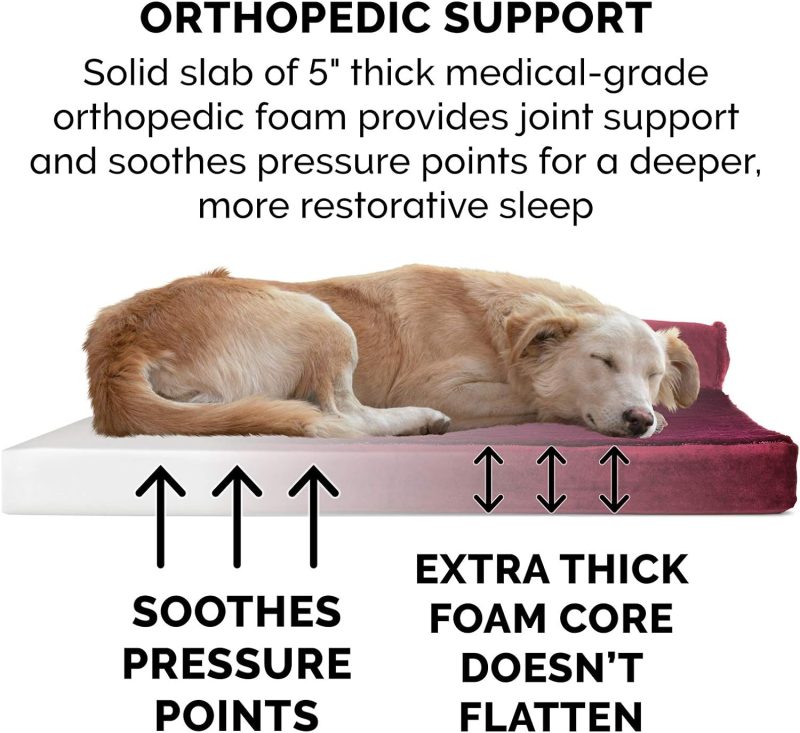 Furhaven Orthopedic Dog Bed for Medium/Small Dogs w/ Removable Bolsters & Washable Cover, For Dogs Up to 35 lbs - Plush & Almond - Image 405
