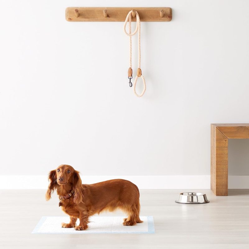 Amazon Basics Dog and Puppy Pee Pads with Leak-Proof Quick-Dry Design for Potty Training, Standard Absorbency, Regular Size, 22 - Image 34