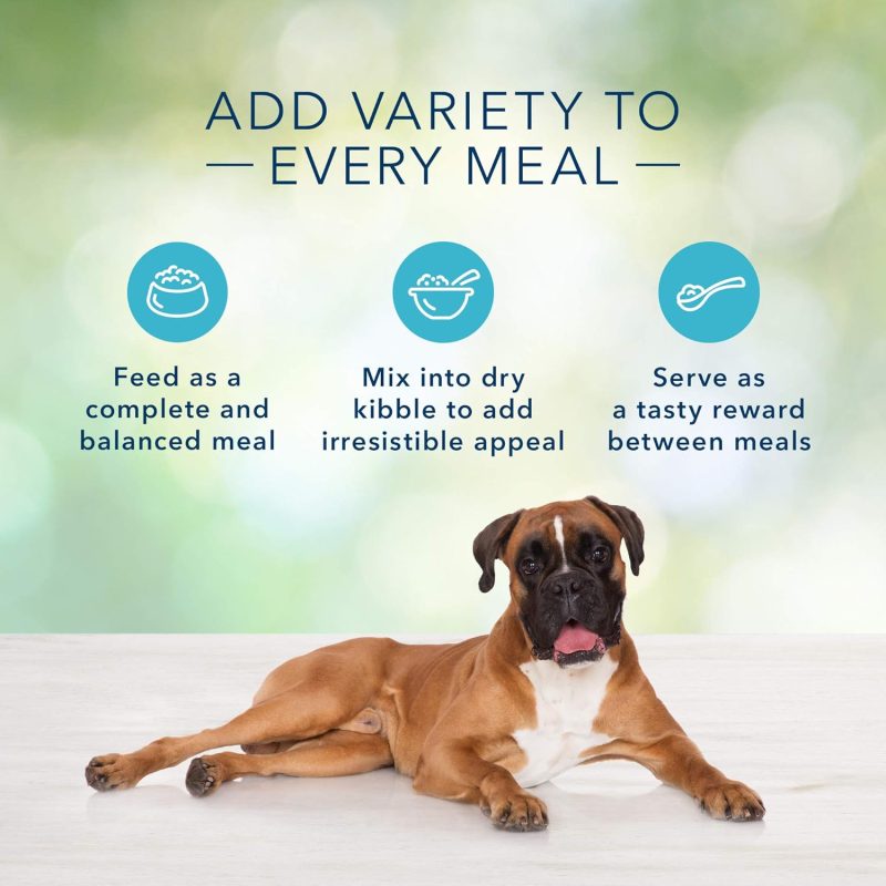 Blue Buffalo Freedom Grain Free Natural Adult Wet Dog Food, Chicken 12.5oz cans (Pack of 12) - Image 40