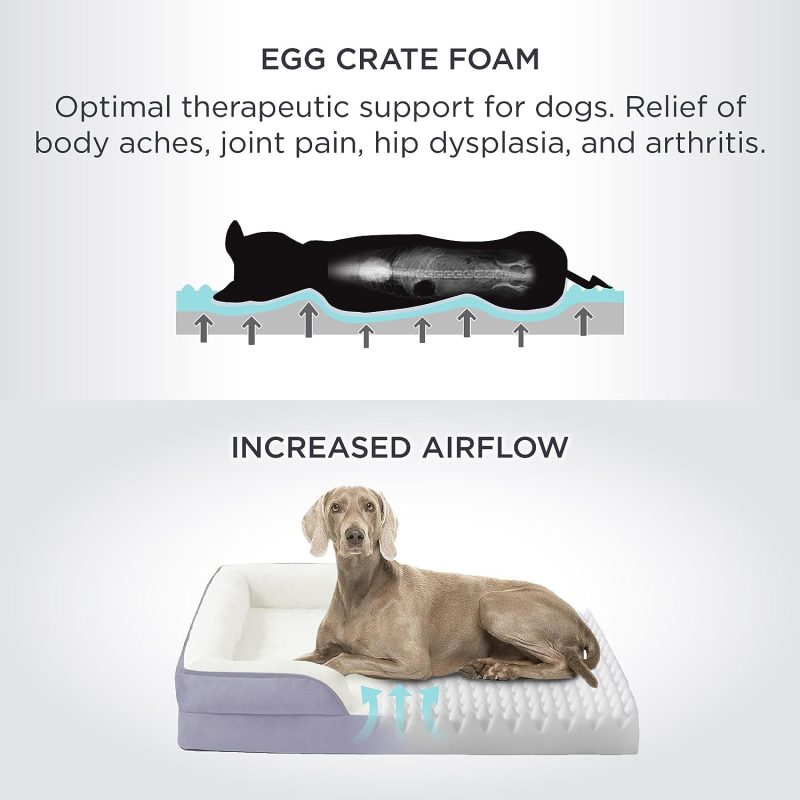 Bedsure Orthopedic Dog Bed for Medium Dogs -Foam Sofa with Removable Washable Cover, Waterproof Lining and Nonskid Bottom Couch, - Image 311