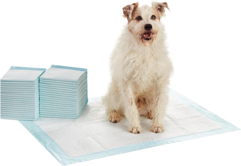 Amazon Basics Dog and Puppy Pee Pads with Leak-Proof Quick-Dry Design for Potty Training, Standard Absorbency, Regular Size, 22 - Image 47