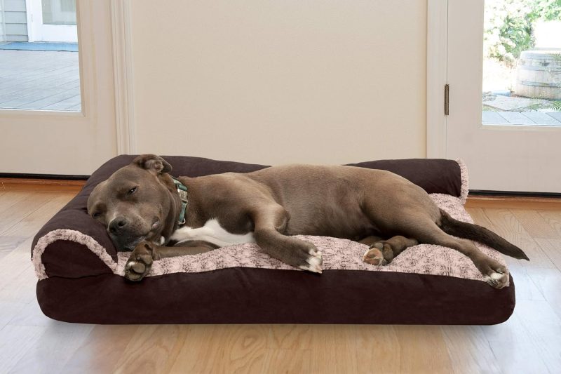 Furhaven Orthopedic Dog Bed for Medium/Small Dogs w/ Removable Bolsters & Washable Cover, For Dogs Up to 35 lbs - Plush & Almond - Image 537