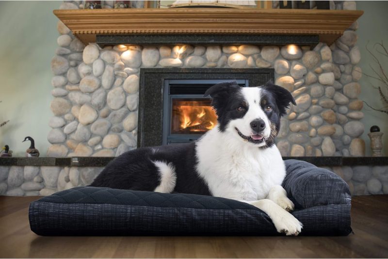 Furhaven Orthopedic Dog Bed for Medium/Small Dogs w/ Removable Bolsters & Washable Cover, For Dogs Up to 35 lbs - Plush & Almond - Image 611