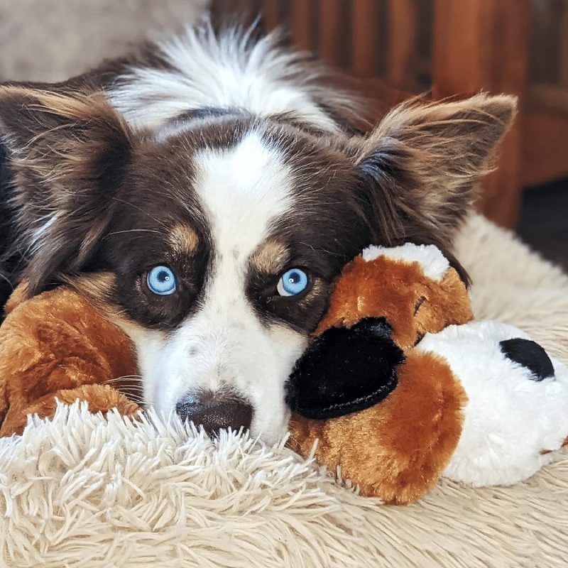 Original Snuggle Puppy Heartbeat Stuffed Toy for Dogs. Pet Anxiety Relief and Calming Aid, Comfort Toy for Behavioral Training - Image 35