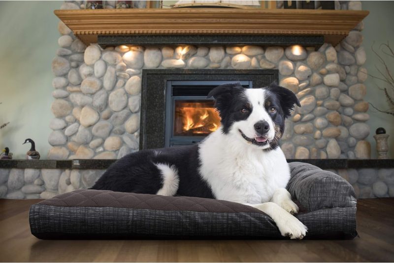 Furhaven Orthopedic Dog Bed for Medium/Small Dogs w/ Removable Bolsters & Washable Cover, For Dogs Up to 35 lbs - Plush & Almond - Image 629