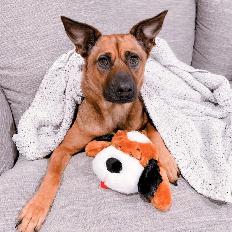 Original Snuggle Puppy Heartbeat Stuffed Toy for Dogs. Pet Anxiety Relief and Calming Aid, Comfort Toy for Behavioral Training - Image 36