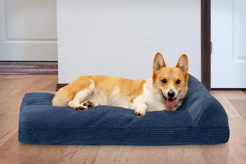 Furhaven Orthopedic Dog Bed for Medium/Small Dogs w/ Removable Bolsters & Washable Cover, For Dogs Up to 35 lbs - Plush & Almond - Image 626