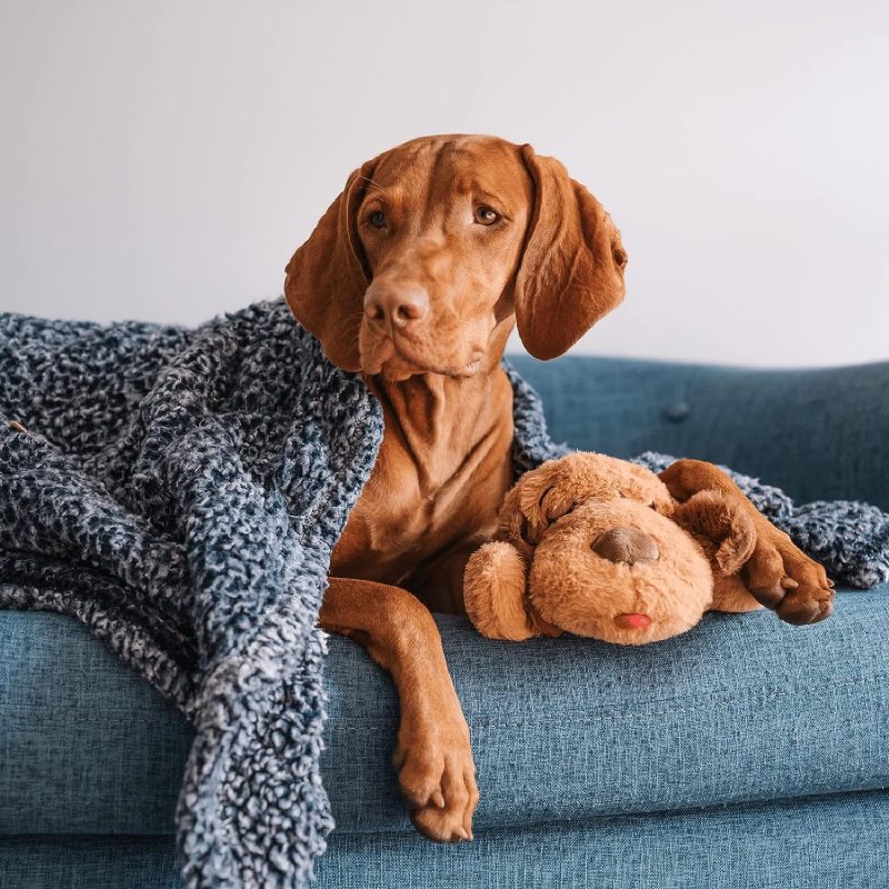 Original Snuggle Puppy Heartbeat Stuffed Toy for Dogs. Pet Anxiety Relief and Calming Aid, Comfort Toy for Behavioral Training - Image 28