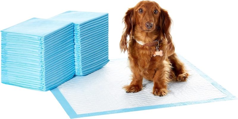 Amazon Basics Dog and Puppy Pee Pads with Leak-Proof Quick-Dry Design for Potty Training, Standard Absorbency, Regular Size, 22 - Image 31