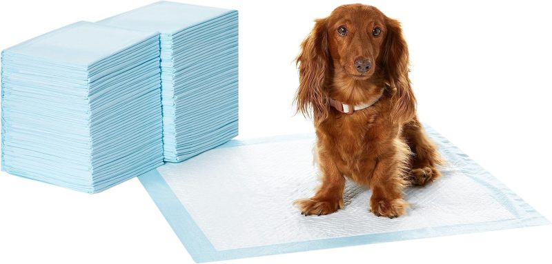 Amazon Basics Dog and Puppy Pee Pads with Leak-Proof Quick-Dry Design for Potty Training, Standard Absorbency, Regular Size, 22 - Image 35