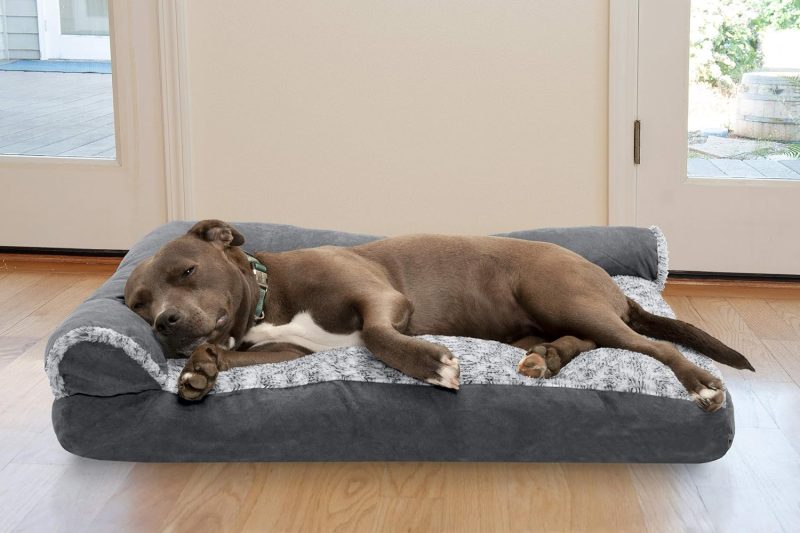 Furhaven Orthopedic Dog Bed for Medium/Small Dogs w/ Removable Bolsters & Washable Cover, For Dogs Up to 35 lbs - Plush & Almond - Image 647