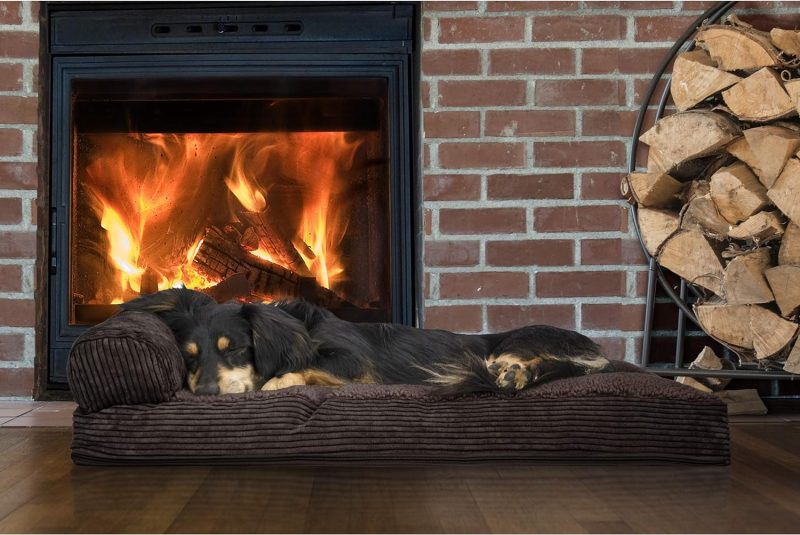 Furhaven Orthopedic Dog Bed for Medium/Small Dogs w/ Removable Bolsters & Washable Cover, For Dogs Up to 35 lbs - Plush & Almond - Image 661