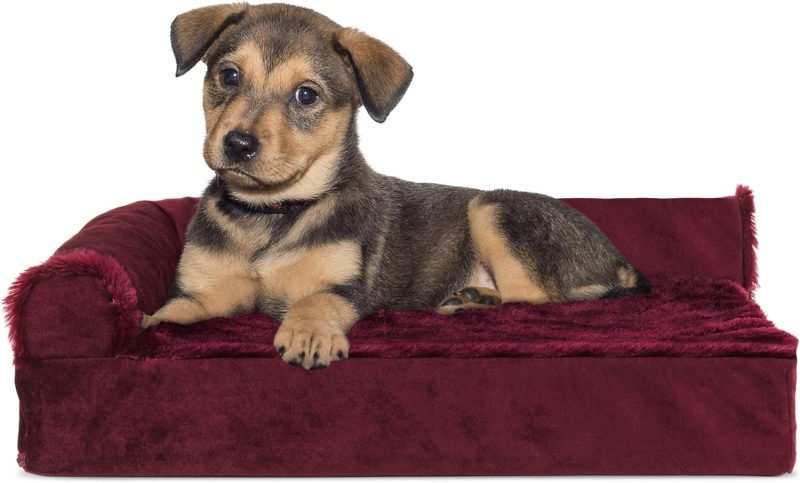 Furhaven Orthopedic Dog Bed for Medium/Small Dogs w/ Removable Bolsters & Washable Cover, For Dogs Up to 35 lbs - Plush & Almond - Image 682