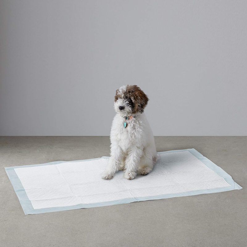 Amazon Basics Dog and Puppy Pee Pads with Leak-Proof Quick-Dry Design for Potty Training, Standard Absorbency, Regular Size, 22 - Image 28
