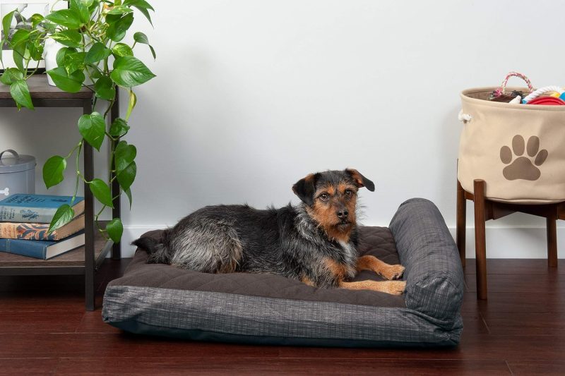 Furhaven Orthopedic Dog Bed for Medium/Small Dogs w/ Removable Bolsters & Washable Cover, For Dogs Up to 35 lbs - Plush & Almond - Image 497