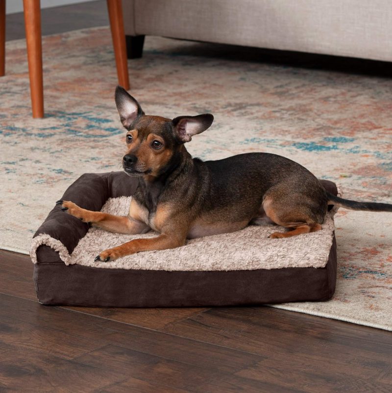 Furhaven Orthopedic Dog Bed for Medium/Small Dogs w/ Removable Bolsters & Washable Cover, For Dogs Up to 35 lbs - Plush & Almond - Image 451
