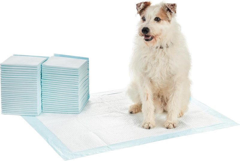 Amazon Basics Dog and Puppy Pee Pads with Leak-Proof Quick-Dry Design for Potty Training, Standard Absorbency, Regular Size, 22