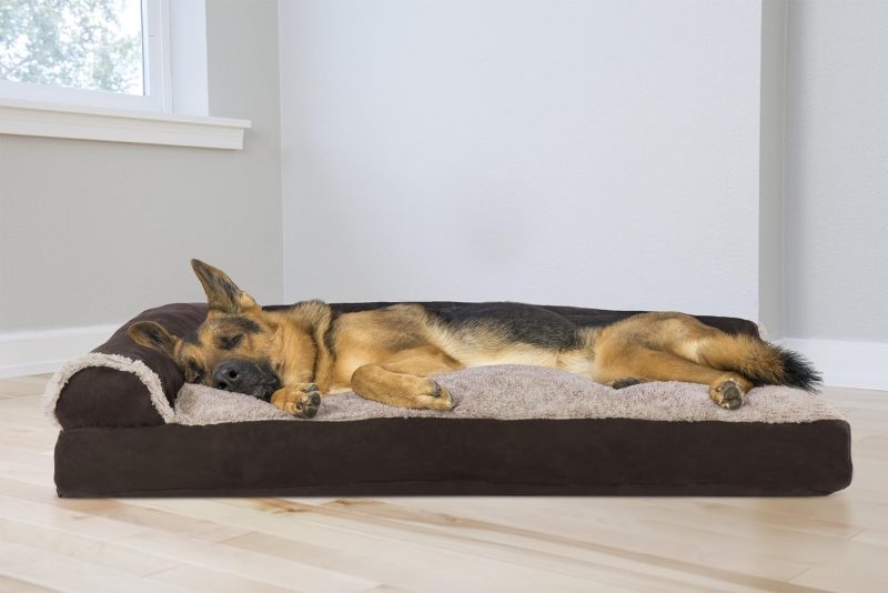 Furhaven Orthopedic Dog Bed for Medium/Small Dogs w/ Removable Bolsters & Washable Cover, For Dogs Up to 35 lbs - Plush & Almond - Image 443