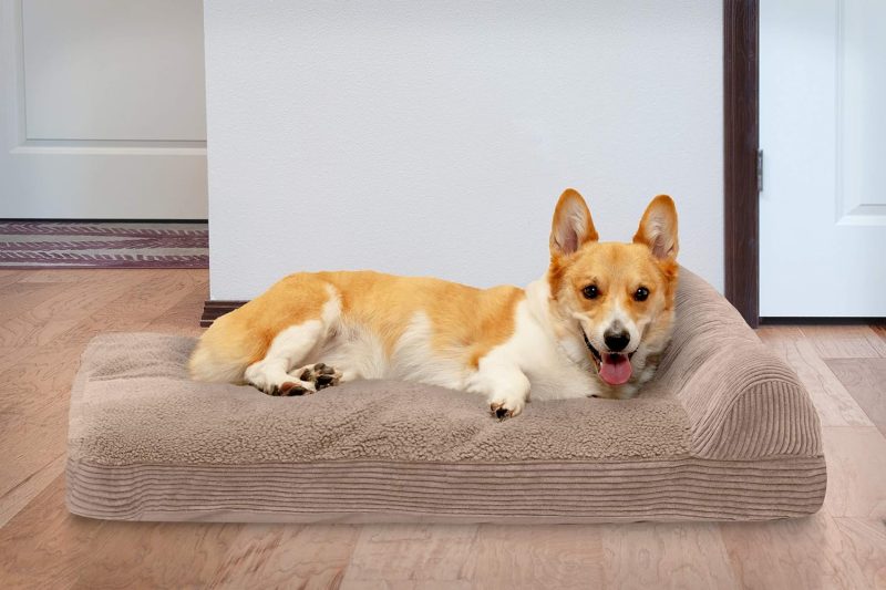 Furhaven Orthopedic Dog Bed for Medium/Small Dogs w/ Removable Bolsters & Washable Cover, For Dogs Up to 35 lbs - Plush & Almond - Image 604