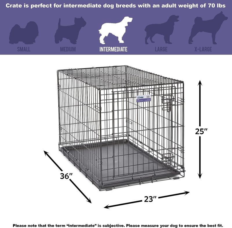 MidWest Homes for Pets Newly Enhanced Single & Double Door iCrate Dog Crate, Includes Leak-Proof Pan, Floor Protecting Feet , - Image 48