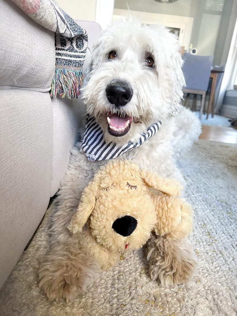 Original Snuggle Puppy Heartbeat Stuffed Toy for Dogs. Pet Anxiety Relief and Calming Aid, Comfort Toy for Behavioral Training - Image 17
