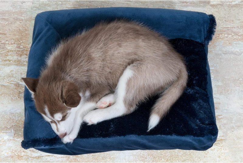 Furhaven Orthopedic Dog Bed for Medium/Small Dogs w/ Removable Bolsters & Washable Cover, For Dogs Up to 35 lbs - Plush & Almond - Image 673