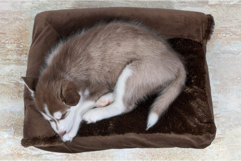 Furhaven Cooling Gel Dog Bed for Large/Medium Dogs w/ Removable Bolsters & Washable Cover, For Dogs Up to 55 lbs - Plush & - Image 593