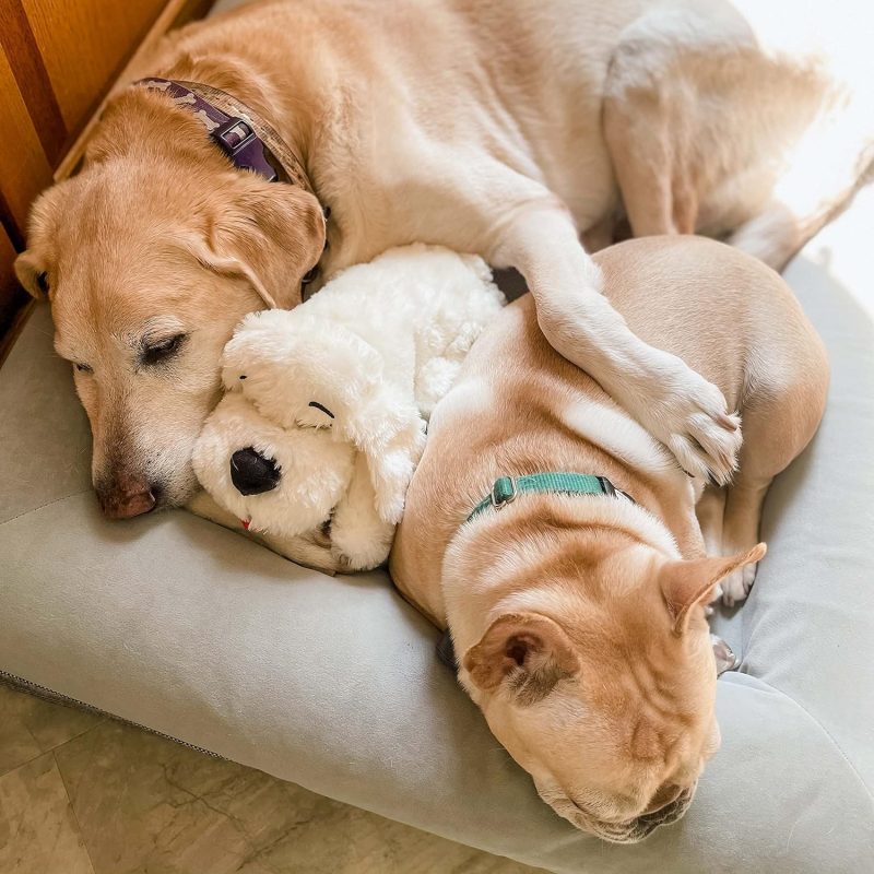 Original Snuggle Puppy Heartbeat Stuffed Toy for Dogs. Pet Anxiety Relief and Calming Aid, Comfort Toy for Behavioral Training - Image 8