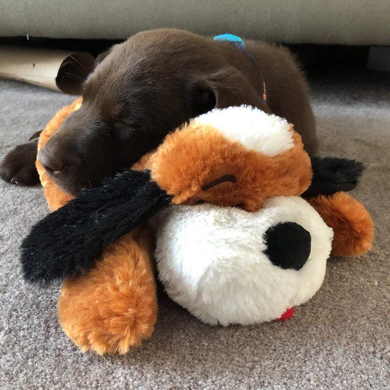 Original Snuggle Puppy Heartbeat Stuffed Toy for Dogs. Pet Anxiety Relief and Calming Aid, Comfort Toy for Behavioral Training - Image 34