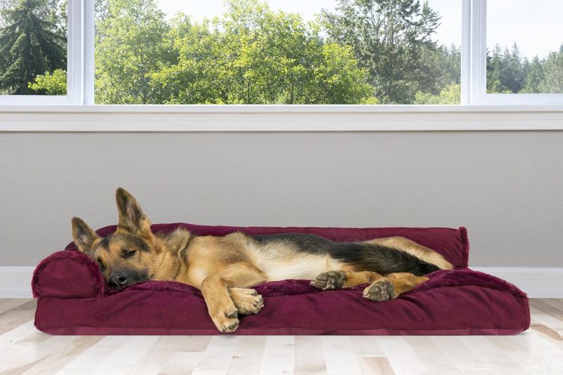 Furhaven Orthopedic Dog Bed for Medium/Small Dogs w/ Removable Bolsters & Washable Cover, For Dogs Up to 35 lbs - Plush & Almond - Image 530