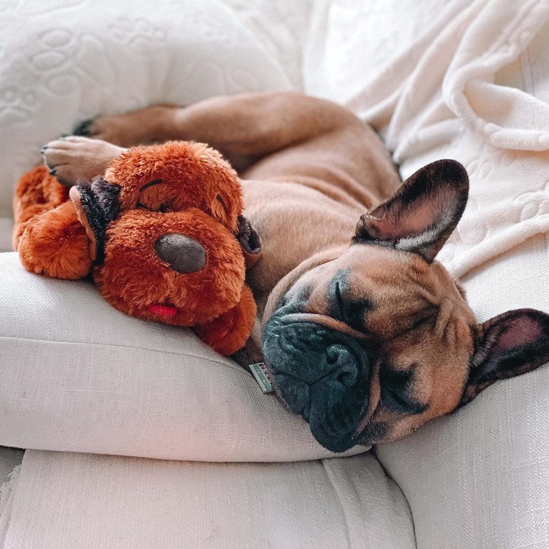Original Snuggle Puppy Heartbeat Stuffed Toy for Dogs. Pet Anxiety Relief and Calming Aid, Comfort Toy for Behavioral Training - Image 11