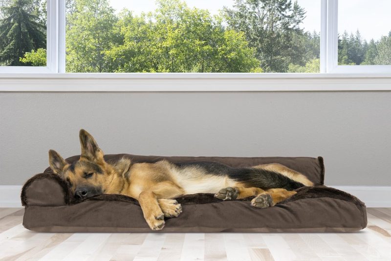 Furhaven Orthopedic Dog Bed for Medium/Small Dogs w/ Removable Bolsters & Washable Cover, For Dogs Up to 35 lbs - Plush & Almond - Image 650
