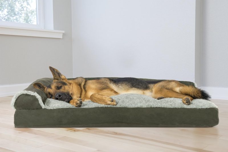 Furhaven Orthopedic Dog Bed for Medium/Small Dogs w/ Removable Bolsters & Washable Cover, For Dogs Up to 35 lbs - Plush & Almond - Image 475