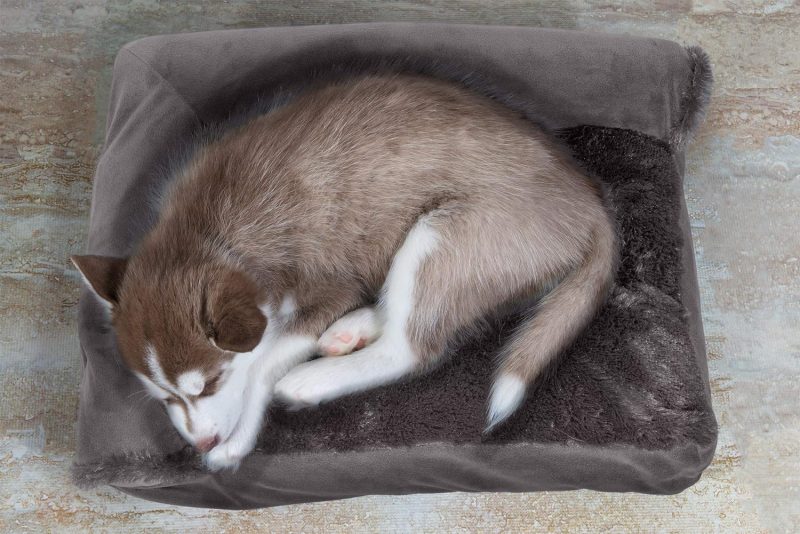 Furhaven Orthopedic Dog Bed for Medium/Small Dogs w/ Removable Bolsters & Washable Cover, For Dogs Up to 35 lbs - Plush & Almond - Image 254