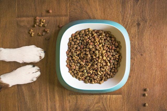 Canine and Dog Nutrition and Health