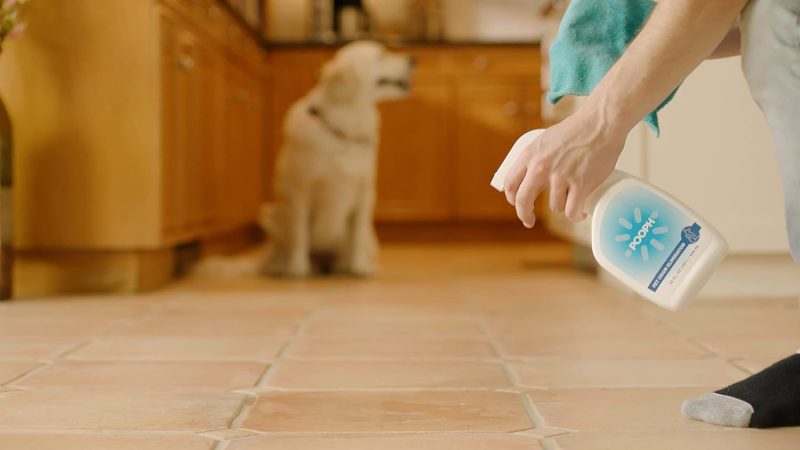 Pooph Pet Odor Eliminator, 32oz Spray - Dismantles Odors on a Molecular Basis, Dogs, Cats, Freshener, Urine, Poop, Pee, - Image 12