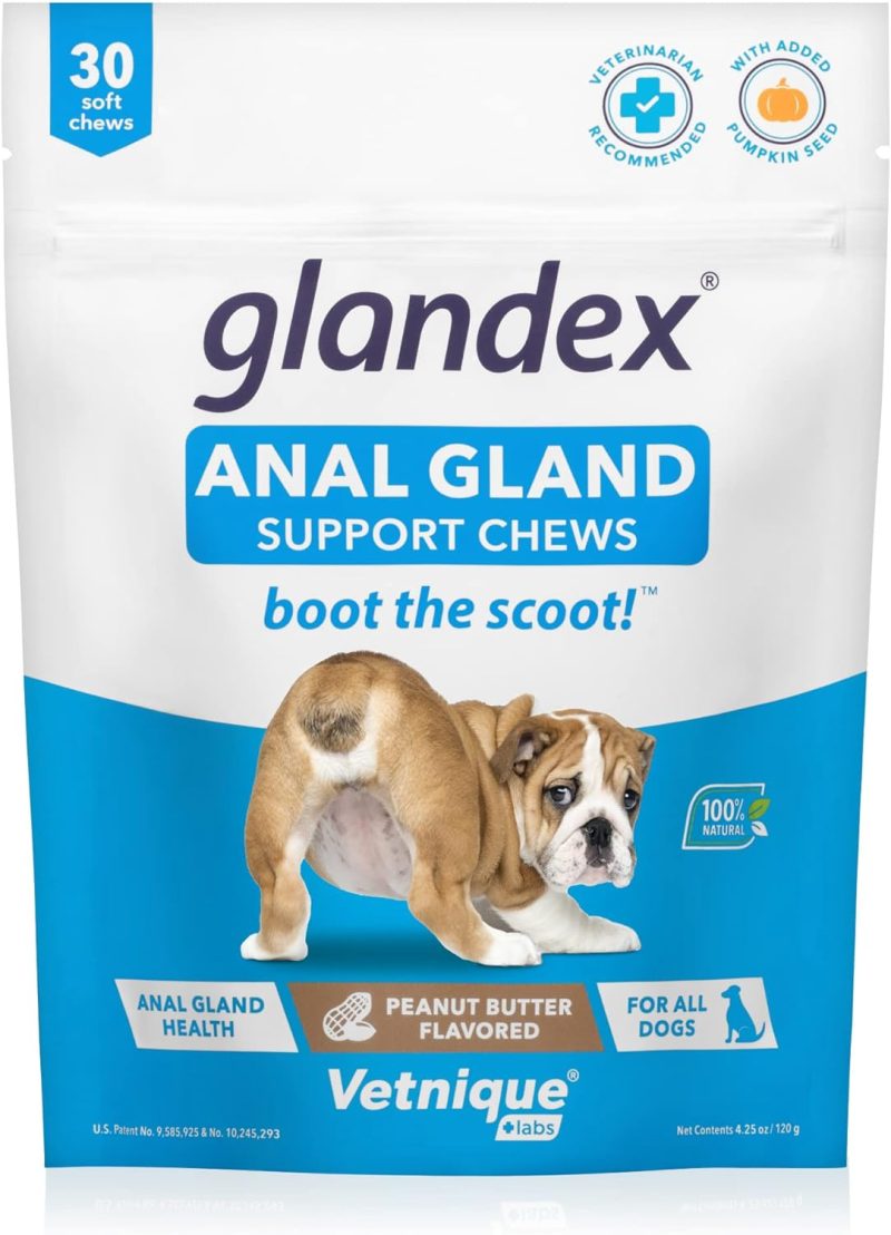 Glandex Anal Gland Soft Chew Treats with Pumpkin for Dogs Digestive Enzymes, Probiotics Fiber Supplement for Dogs Boot The Scoot - Image 36