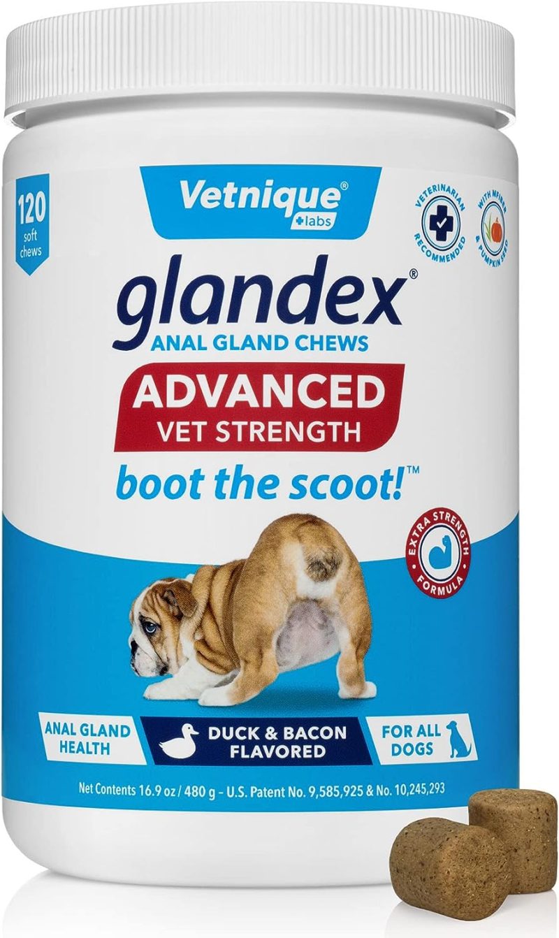 Glandex Anal Gland Soft Chew Treats with Pumpkin for Dogs Digestive Enzymes, Probiotics Fiber Supplement for Dogs Boot The Scoot - Image 46