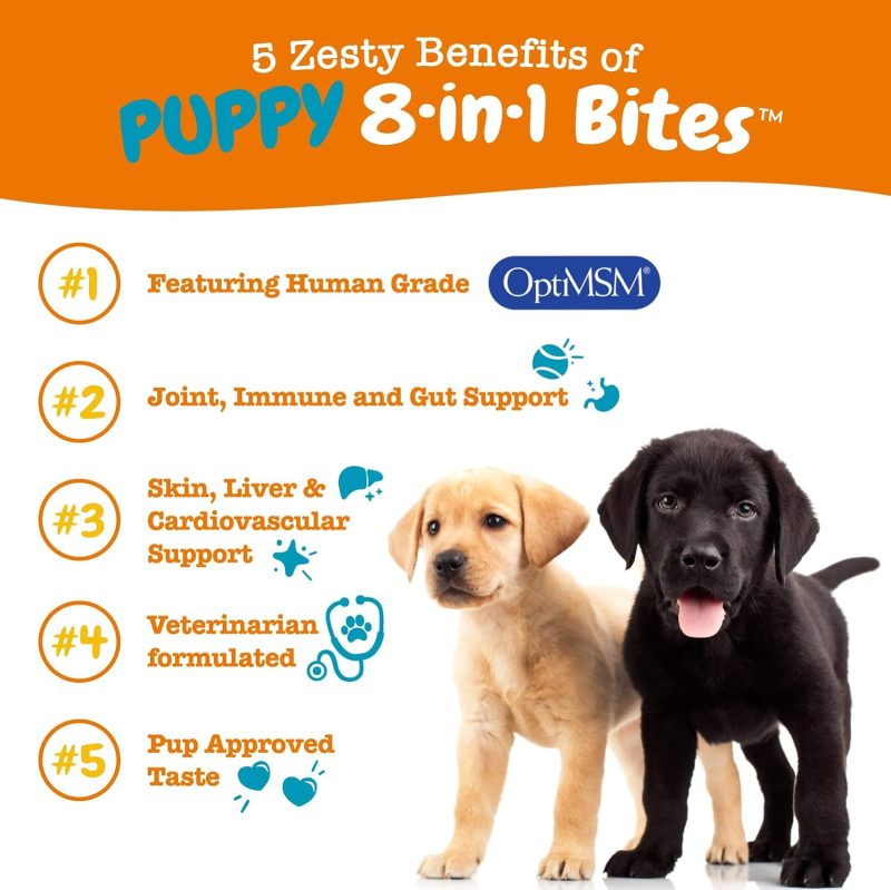 Zesty Paws Multivitamin Treats for Dogs - Glucosamine Chondroitin for Joint Support + Digestive Enzymes & Probiotics - Grain - Image 51