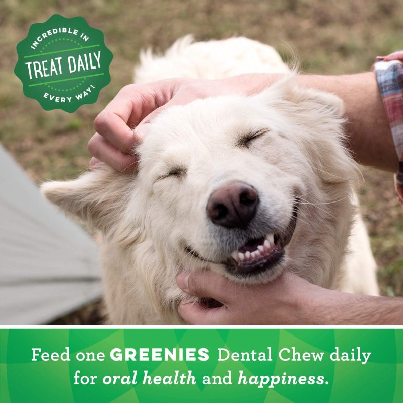 GREENIES Original Regular Natural Dog Dental Chews Oral Health Dog Treats, 36 Count (Pack of 1) - Image 80