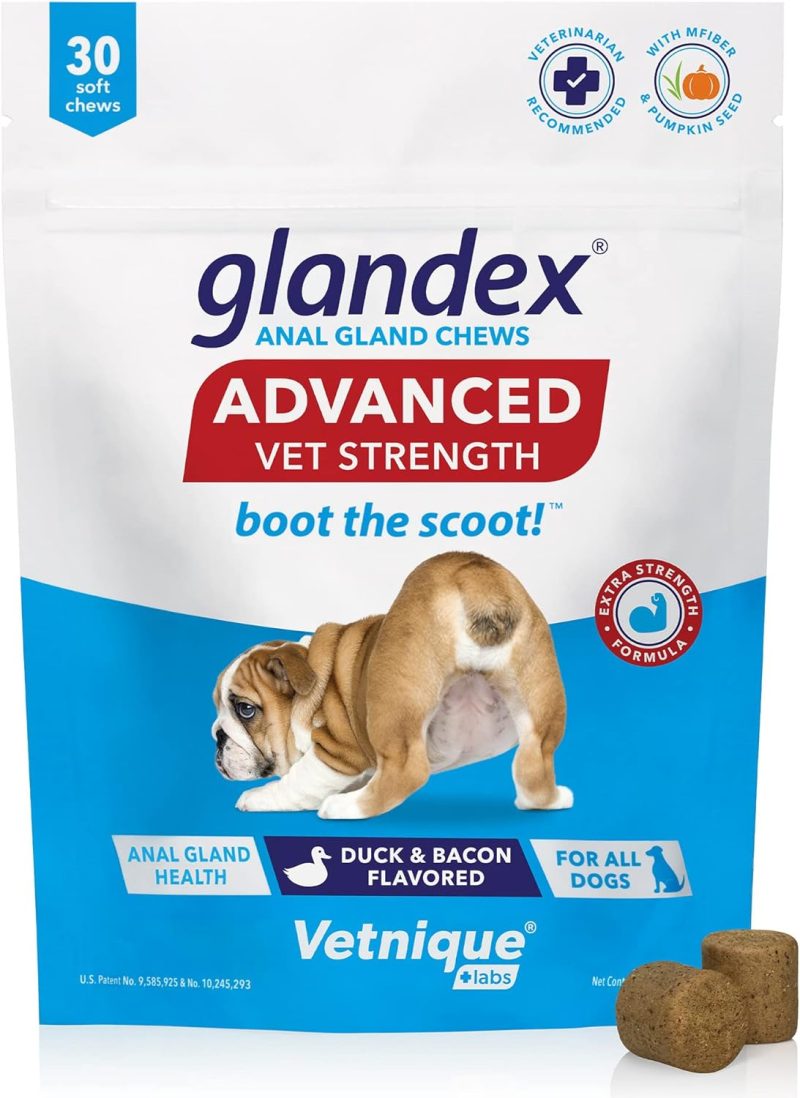 Glandex Anal Gland Soft Chew Treats with Pumpkin for Dogs Digestive Enzymes, Probiotics Fiber Supplement for Dogs Boot The Scoot - Image 26