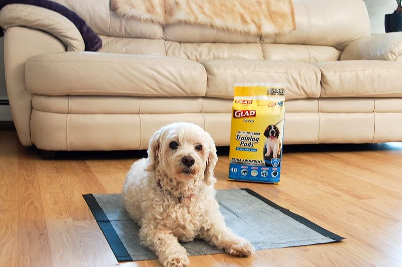 Glad for Pets Black Charcoal Training Pads for Dogs, 23" x 23" - Super Absorbent & Odor Neutralizing Dog Potty Pads, - Image 74
