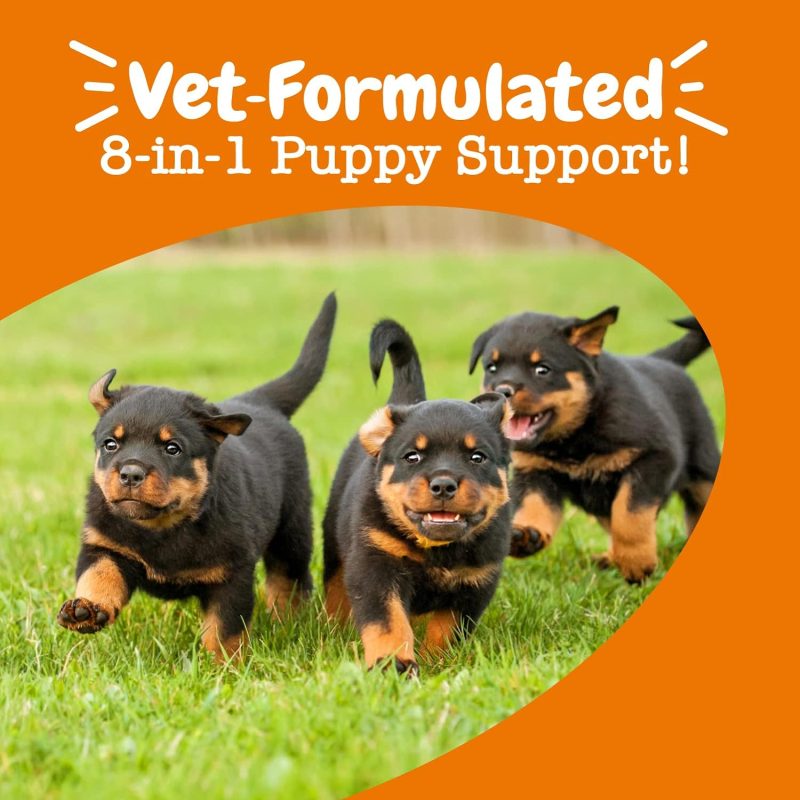 Zesty Paws Multivitamin Treats for Dogs - Glucosamine Chondroitin for Joint Support + Digestive Enzymes & Probiotics - Grain - Image 56