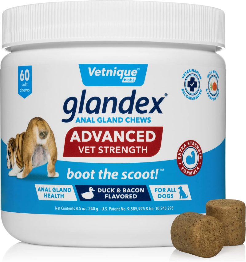 Glandex Anal Gland Soft Chew Treats with Pumpkin for Dogs Digestive Enzymes, Probiotics Fiber Supplement for Dogs Boot The Scoot - Image 10