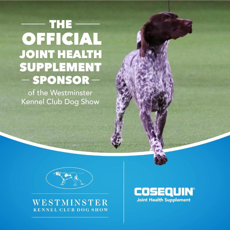 Nutramax Cosequin Maximum Strength Joint Health Supplement for Dogs - With Glucosamine, Chondroitin, and MSM, 132 Chewable - Image 4